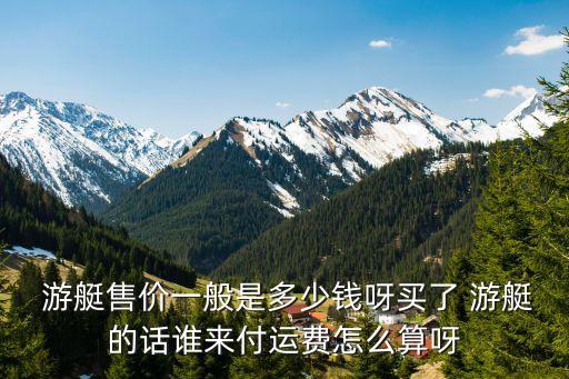  游艇售價(jià)一般是多少錢呀買了 游艇的話誰來付運(yùn)費(fèi)怎么算呀