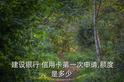 辦建設(shè)銀行信用卡可以用多少錢,建設(shè)銀行信用卡辦哪個(gè)類型的比較好