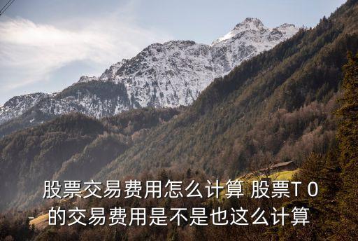  股票交易費(fèi)用怎么計(jì)算 股票T 0的交易費(fèi)用是不是也這么計(jì)算
