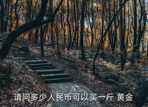 倆萬人名幣能買多少克黃金