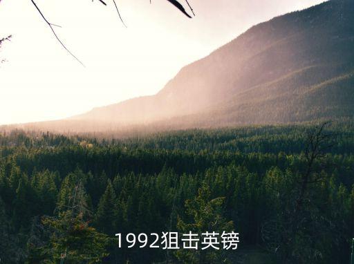 1992狙擊英鎊