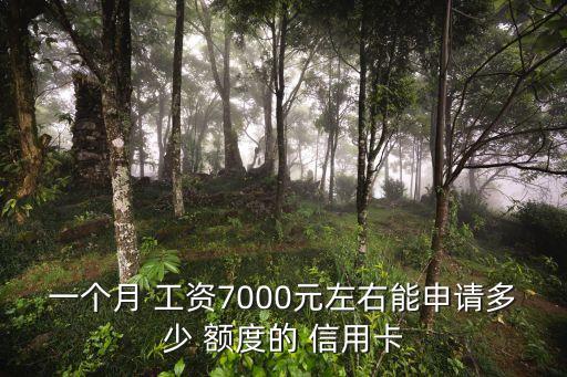 一個月 工資7000元左右能申請多少 額度的 信用卡
