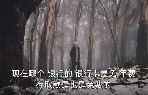 吉林銀行長(zhǎng)白山金卡年費(fèi)多少