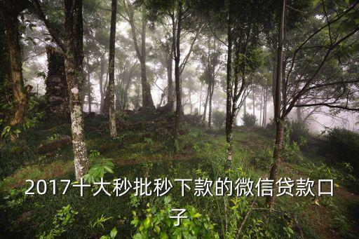 2017十大秒批秒下款的微信貸款口子