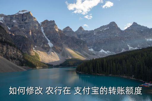 如何修改 農(nóng)行在 支付寶的轉(zhuǎn)賬額度