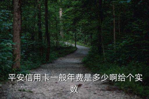  平安信用卡一般年費(fèi)是多少啊給個(gè)實(shí)數(shù)
