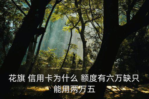 花旗 信用卡為什么 額度有六萬(wàn)缺只能用兩萬(wàn)五