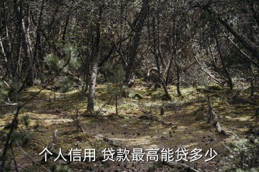 個(gè)人信用 貸款最高能貸多少