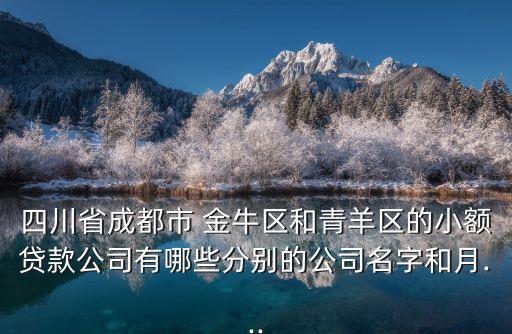 四川省成都市 金牛區(qū)和青羊區(qū)的小額貸款公司有哪些分別的公司名字和月...