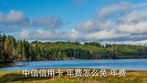  中信信用卡 年費(fèi)怎么免 年費(fèi)