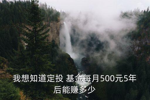 我想知道定投 基金每月500元5年后能賺多少