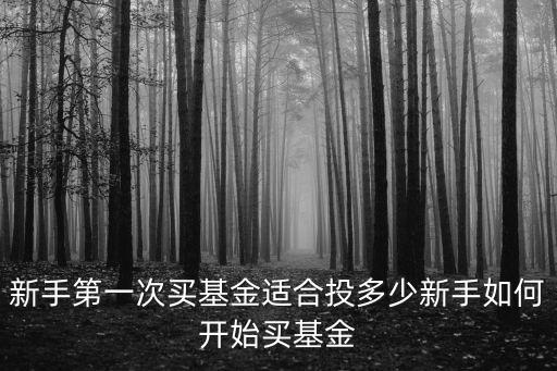 新手第一次買基金適合投多少新手如何開始買基金