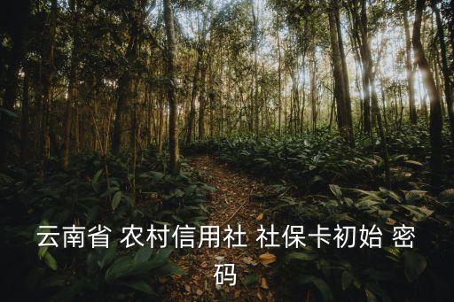 云南省 農(nóng)村信用社 社?？ǔ跏?密碼