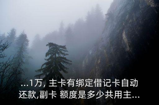 主卡1萬副卡5千額度是多少