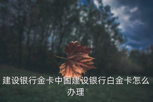 建行財富卡有多少人有