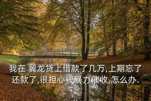 翼龍貸客服電話是多少
