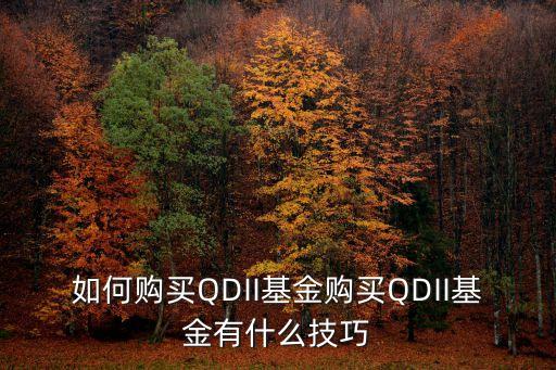 如何購買QDII基金購買QDII基金有什么技巧