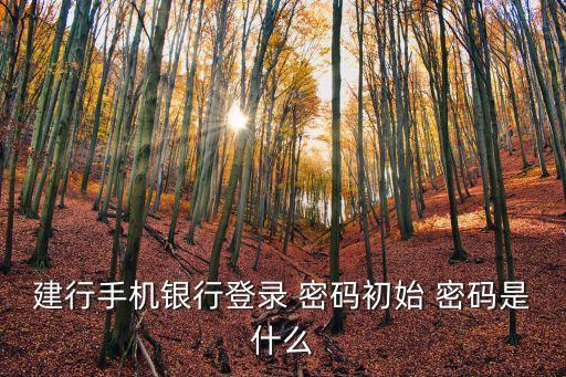 建設(shè)銀行怎么設(shè)置首次登陸密碼是多少