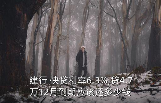 建行快貸四萬一年多少利息