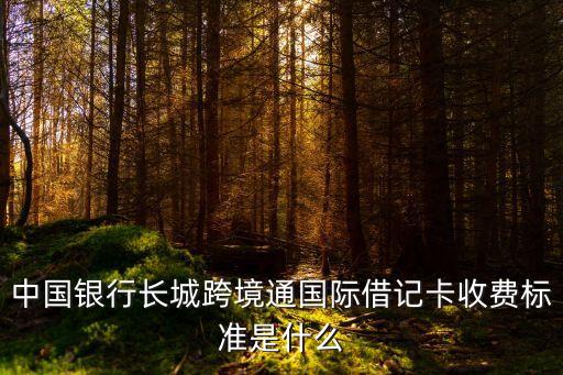 中國(guó)銀行長(zhǎng)城跨境通國(guó)際借記卡收費(fèi)標(biāo)準(zhǔn)是什么