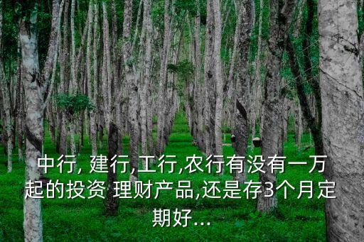 中行, 建行,工行,農(nóng)行有沒(méi)有一萬(wàn)起的投資 理財(cái)產(chǎn)品,還是存3個(gè)月定期好...