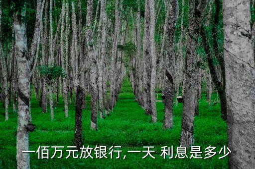 一佰萬(wàn)元放銀行,一天 利息是多少