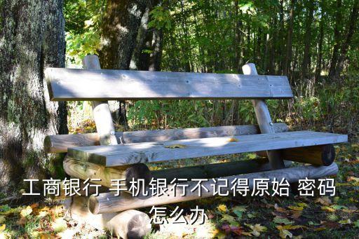 工行手機銀行取消默認密碼是多少,手機銀行工行