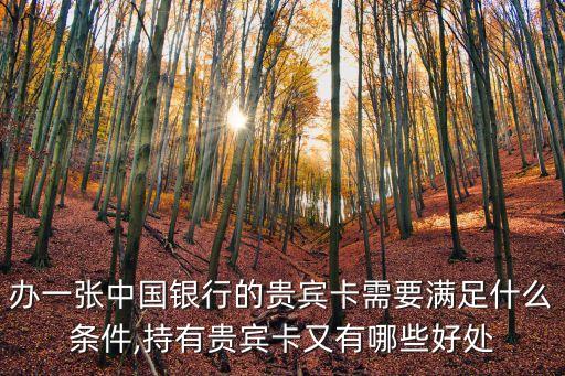 辦一張中國銀行的貴賓卡需要滿足什么條件,持有貴賓卡又有哪些好處