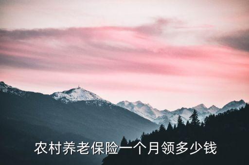 東陽農(nóng)村養(yǎng)老金每月多少,河北省農(nóng)村養(yǎng)老金每月多少錢