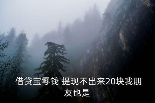  借貸寶零錢 提現(xiàn)不出來20塊我朋友也是