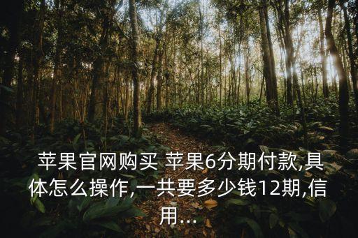  蘋(píng)果官網(wǎng)購(gòu)買(mǎi) 蘋(píng)果6分期付款,具體怎么操作,一共要多少錢(qián)12期,信用...