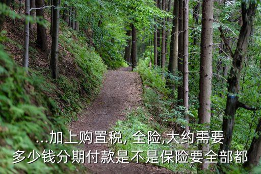 ...加上購置稅, 全險,大約需要多少錢分期付款是不是保險要全部都