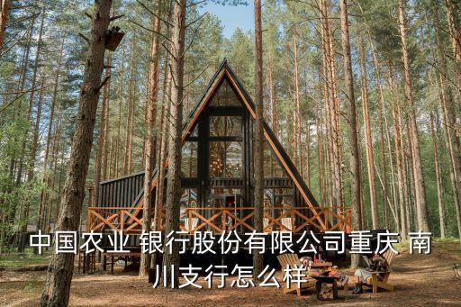 中國農(nóng)業(yè) 銀行股份有限公司重慶 南川支行怎么樣