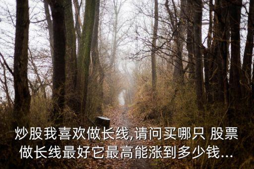 炒股我喜歡做長線,請問買哪只 股票做長線最好它最高能漲到多少錢...