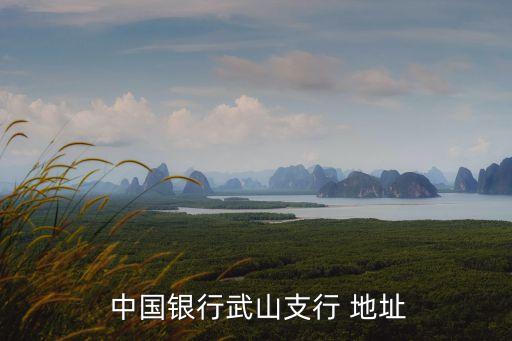甘肅省中國銀行地址電話號碼是多少錢,中國銀行甘肅省分行電話號碼