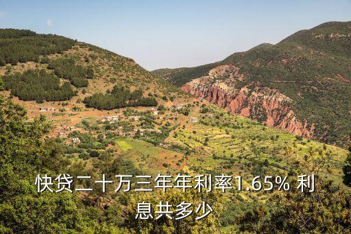 快貸二十萬三年年利率1.65% 利息共多少