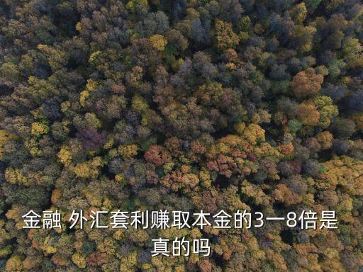 金融 外匯套利賺取本金的3一8倍是真的嗎