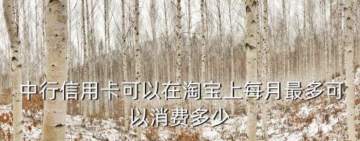 中行淘寶卡額度多少錢,中行e貸額度一般多少