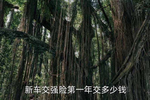新車保險(xiǎn)多少錢,22萬(wàn)新車保險(xiǎn)多少錢