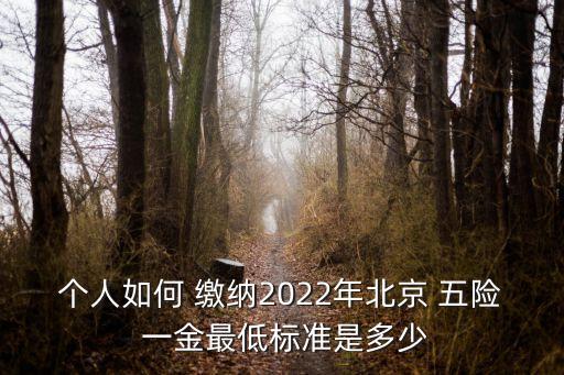 個(gè)人如何 繳納2022年北京 五險(xiǎn) 一金最低標(biāo)準(zhǔn)是多少