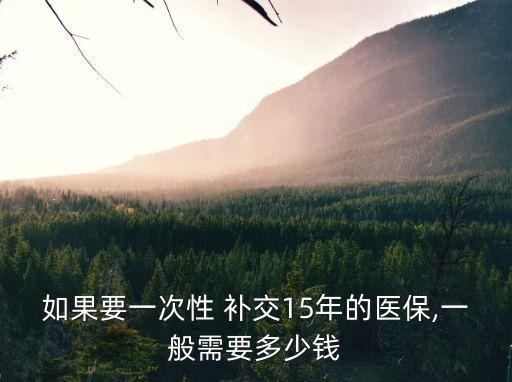 如果要一次性 補(bǔ)交15年的醫(yī)保,一般需要多少錢