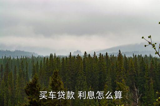 代款買車的利息是多少,買車代款好,還是全款好