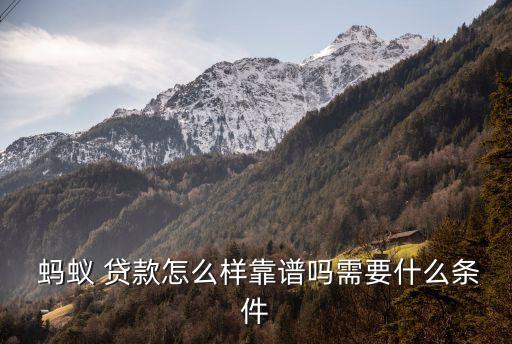  螞蟻 貸款怎么樣靠譜嗎需要什么條件