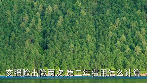 強(qiáng)制險.續(xù)保第二年多少錢,防癌險得了癌癥第二年續(xù)保