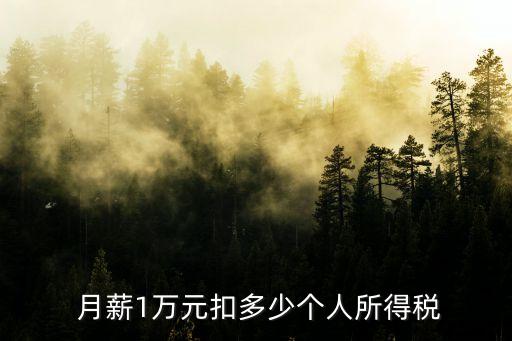 月薪一萬(wàn)工資扣多少稅,成都月薪一萬(wàn)三到手工資高嗎