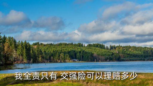 交強(qiáng)險(xiǎn)保額是多少,大貨車交強(qiáng)險(xiǎn)保額是多少