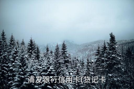 浦發(fā)白金卡一般額度多少錢,浦發(fā)升級白金卡額度會上升么