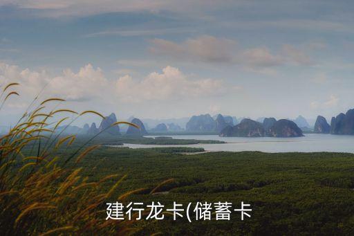  建行龍卡(儲蓄卡