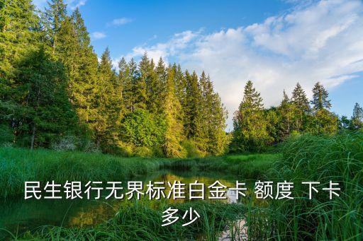 下卡的額度一般多少錢,親屬卡2000額度是多少錢