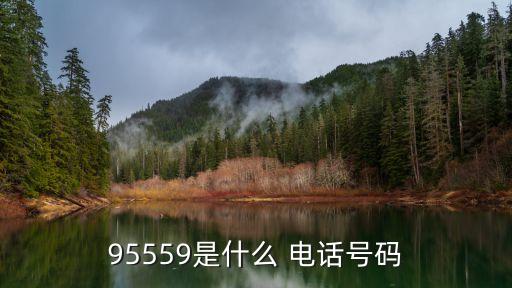 95559是什么 電話(huà)號(hào)碼